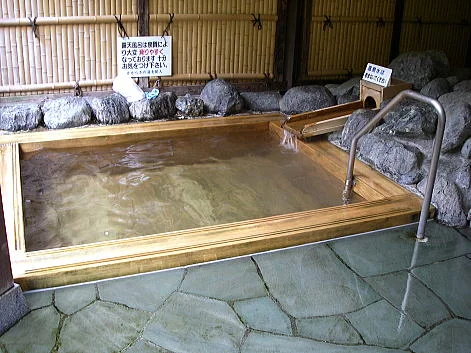 竜島温泉 せせらぎの湯