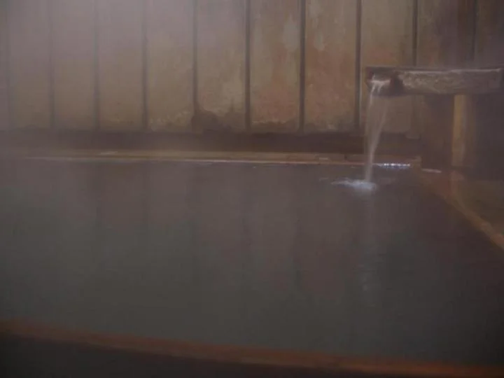 渋温泉外湯　九番湯・大湯