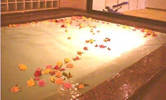 Hotel Platon with Natural Hot Spring - Nagano