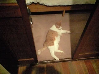 三水館