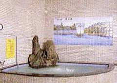 旅館　丸山の湯 - 長野県