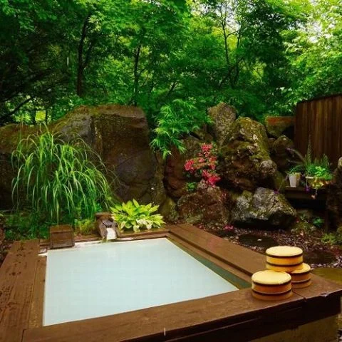 四季彩の宿 やまぶき - 上高地 - 長野県