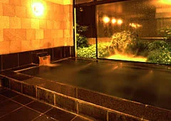 Ogiya Ryokan - Nagano