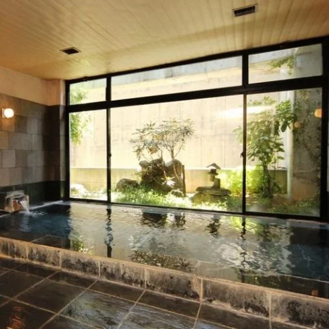 Hakuba Western-style Hotel Senya - Nagano