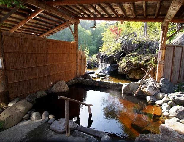 金の沢天然温泉 開拓 ふくろふ乃湯(閉館しました)