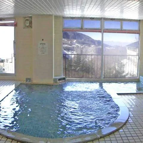 志賀高原発哺温泉 岩菅ホテル - 長野県