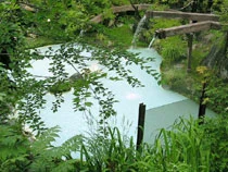 泡の湯旅館