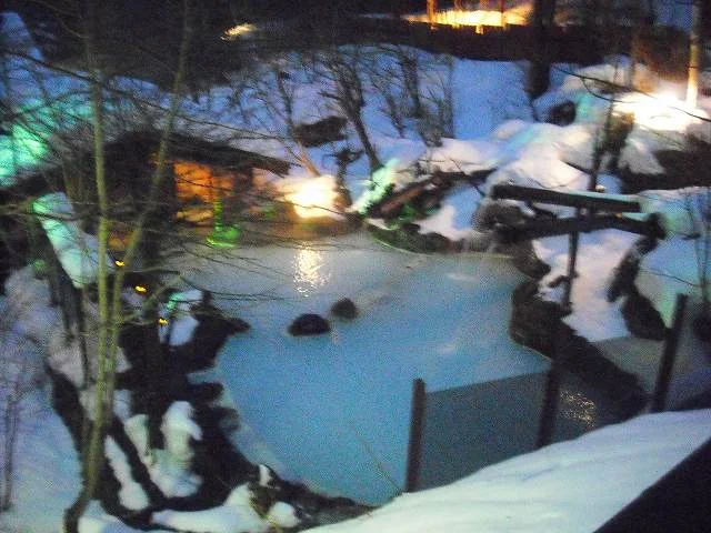 泡の湯旅館