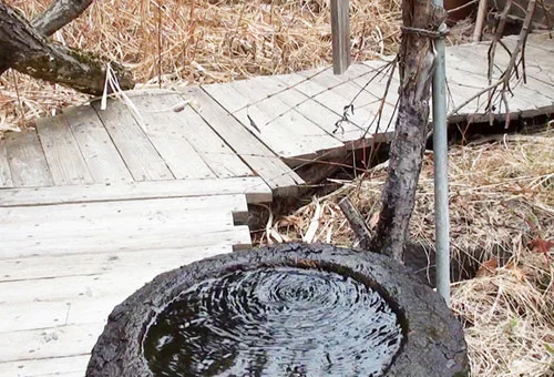 フォトアルバム6