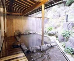 Kogen Highlands Onsen Hotel - Nagano