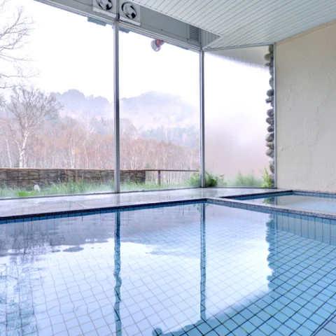 Ishino-yu Lodge - Shiga Highlands - Nagano