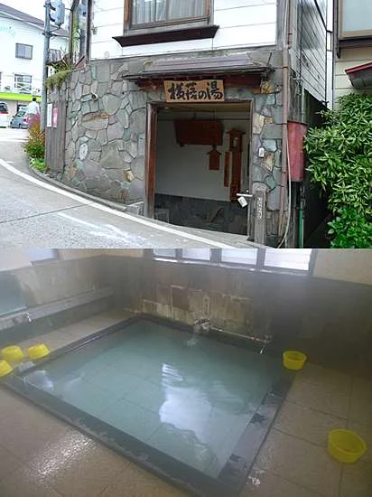 野沢温泉共同浴場 横落の湯