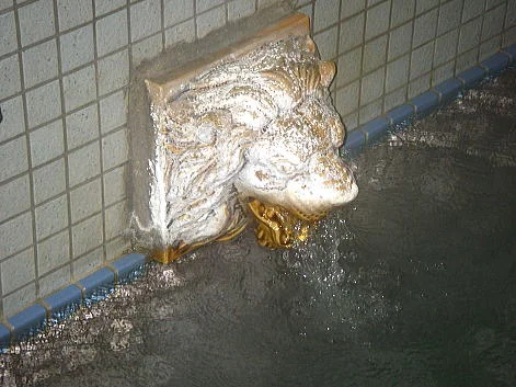 新湯