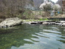 秋山郷 雄川閣
