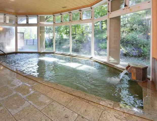斑尾高原体験交流施設 まだらおの湯