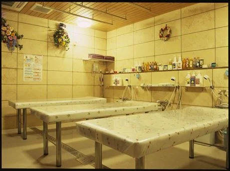 フォトアルバム14