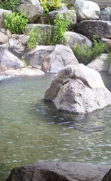 中房温泉(なかぶさおんせん）