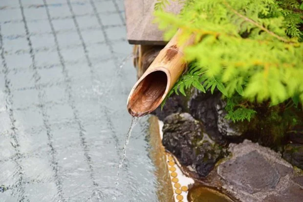 Bessho Onsen Midoriya (Nagano Bessho Onsen Deep Green Inn Midoriya Kichibei) - Nagano