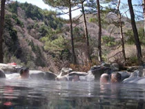 桧の湯