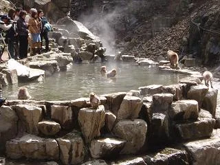 後楽館