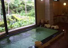 Kimimati-so, Hot Spring Inn by Lake Shirakaba - Nagano