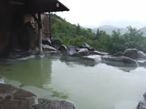 豊田温泉公園 もみじ荘（湯ノ入温泉）