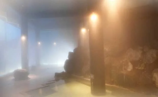 温根湯ホテル　四季平安の館（閉館しました）