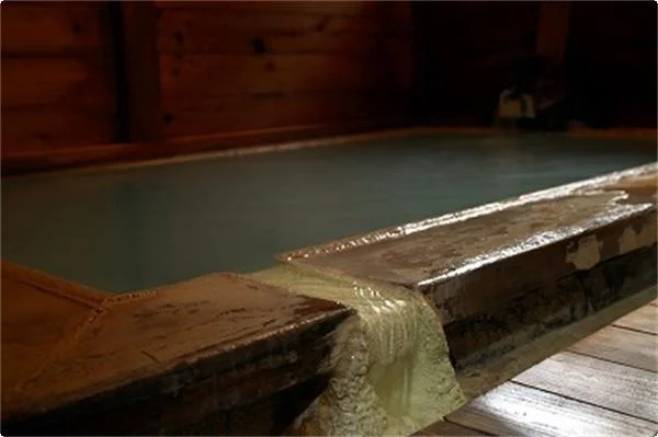 Shirohone Onsen Yumoto Saito Bekkan - Nagano