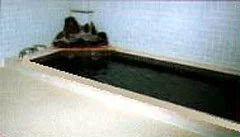 トガリハイランド白樺 - 長野県