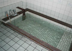 上諏訪温泉 民宿 あひる - 長野県