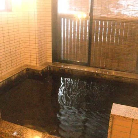 四季彩の宿 かのえ - 長野県