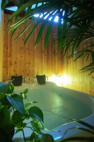 Starry Highland Small Hotel Hakuba Berg House - Nagano