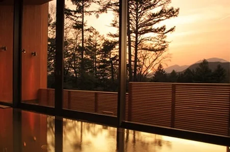 ザ・プリンス　ヴィラ軽井沢 - 長野県