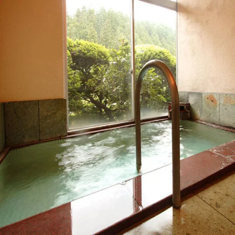 Shinshu Kakyoto Onsen Katsura Ryokan - Nagano