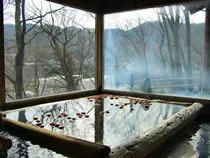 中棚荘