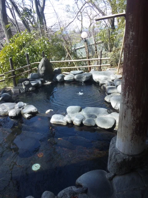 中棚荘