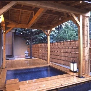 早太郎温泉 囲炉裏とくつろぎの宿 ホテルやまぶき - 長野県