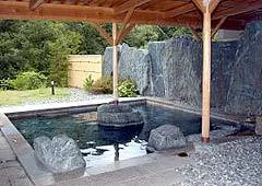 Shimojo Onsen, Romantic Hall, Gekkabijin - Nagano