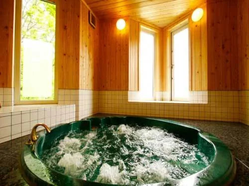 Andermatt Hot Spring Mountain Hotel - Nagano