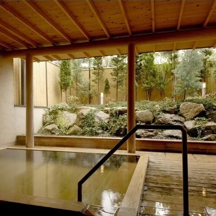 ダイヤモンドあずみ野温泉ホテル - 長野県