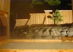 Senzan Nagano Highlands Onsen Ryokan - Nagano