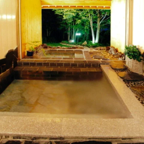 ロイヤルシルクイン - 長野県