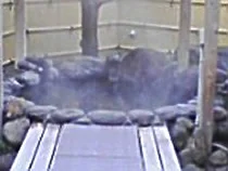 Fukujusou Hot Spring Inn - Nagano