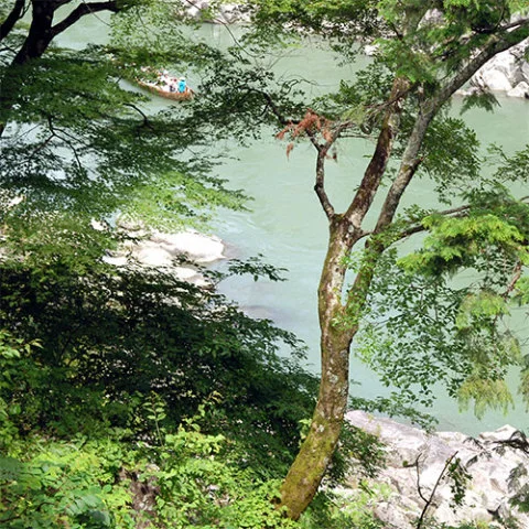 天竜峡温泉　静かな渓谷の隠れ宿　峡泉 - 長野県