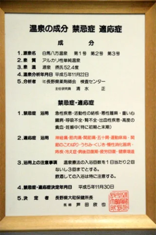 Hotel Kuraya - Hakuba - Nagano