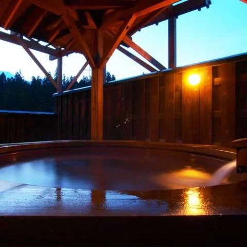 Hakuba Happo Onsen Hakuba Hotel Hananosato - Nagano