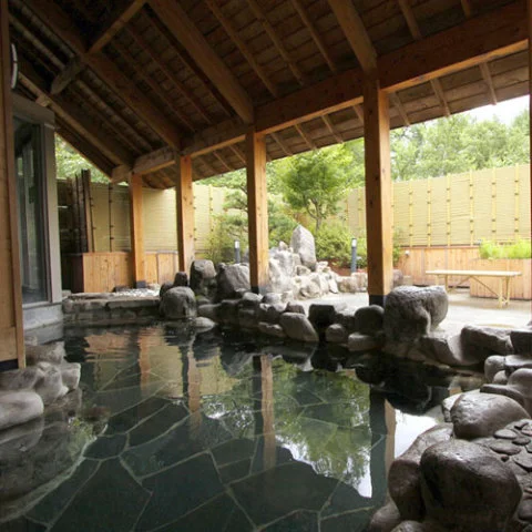 Hotel Harvest Tateshina - Tateshina - Nagano