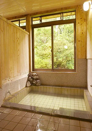 Kakuma Onsen Takashima-ya Ryokan - Nagano