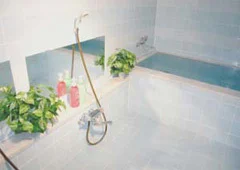 Chambord Piste - Shiga Kogen, Nagano - Nagano