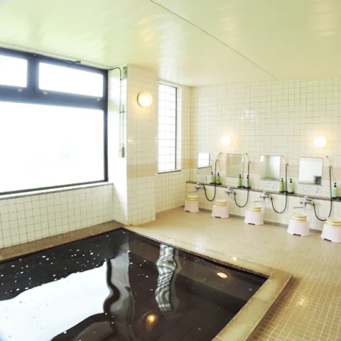 戸狩温泉　アルペンプラザ - 長野県